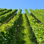 Relais & Chateaux Schwarzmatt Badenweiler