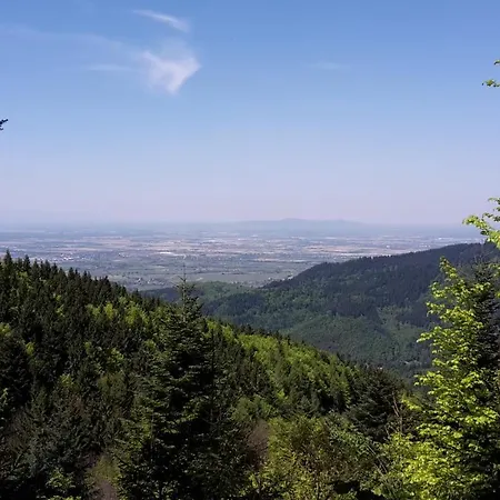 Relais & Chateaux Schwarzmatt 4* Badenweiler