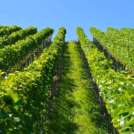 Relais & Chateaux Schwarzmatt Badenweiler