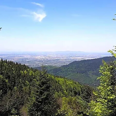 Relais & Chateaux Schwarzmatt فندق بادنويلر