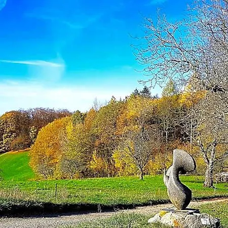 فندق Relais & Chateaux Schwarzmatt بادنويلر